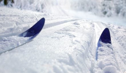 Skiing Injuries