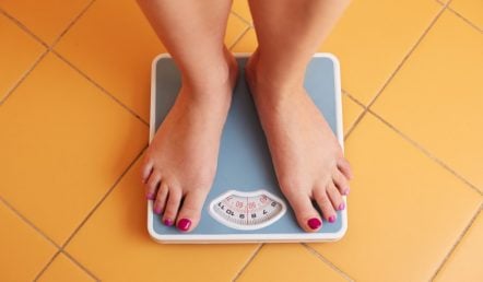 Obesity coronavirus